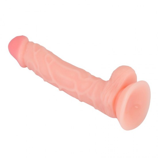 25 cm. Belden Bağlamalı Realistik Vantuzlu Penis