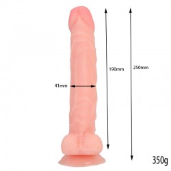 25 cm. Belden Bağlamalı Realistik Vantuzlu Penis