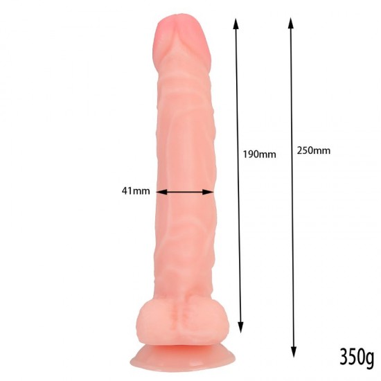 25 cm. Belden Bağlamalı Realistik Vantuzlu Penis